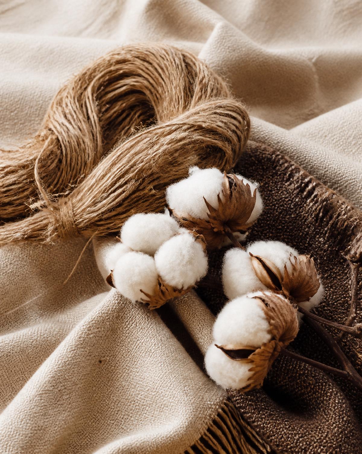 Raw jute fibers and organic cotton bolls